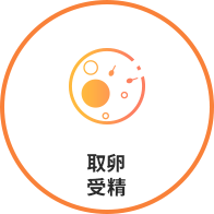 泰国LRC医院试管婴儿取卵受精